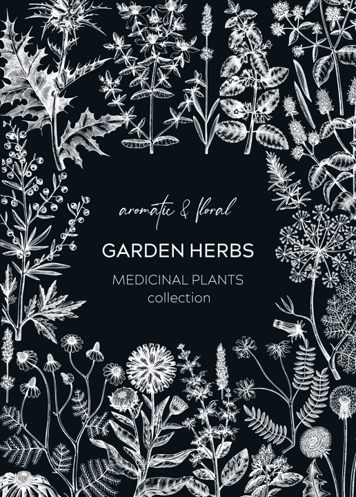 Vintage herbs card design on chalkboard. Aromatic plants frame. Herbal tea ingredients. Botanical design with hand drawn medicinal herbs for cosmetics or herbal medicine